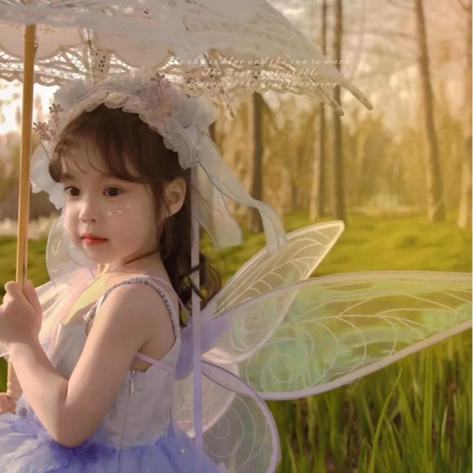 Princess Butterfly Fairy Wing  - Elf Costume Christmas review and price